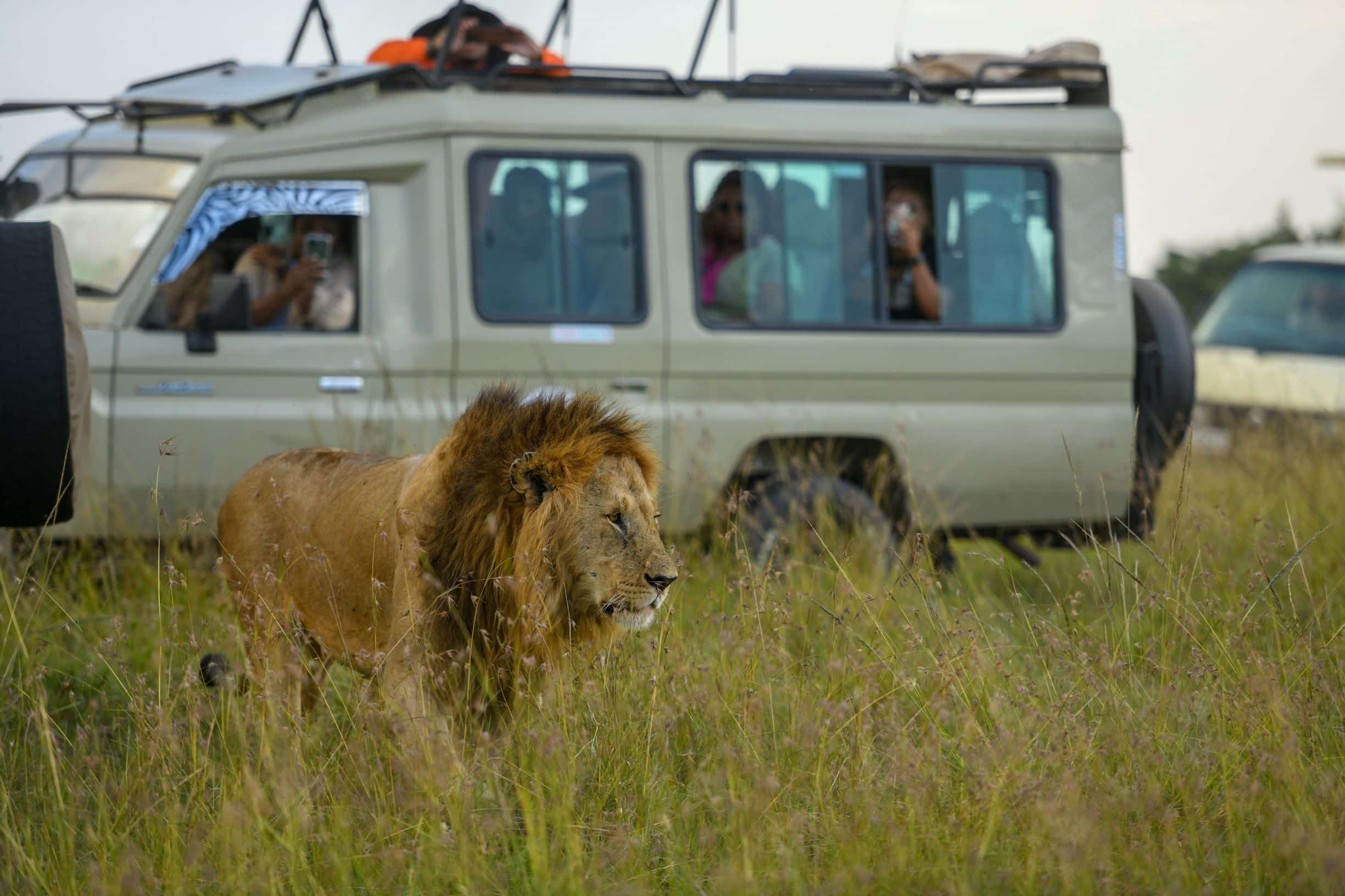 Kenya – Maasai Mara, Amboseli, Samburu, Tsavo